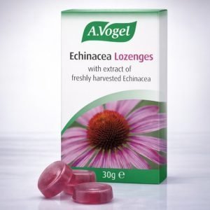 A.Vogel Echinacea Lozenges 30g pack in green rectangular box with white A.Vogel branding and purple echinacea flower image on the front, labelled “Echinacea Lozenges” with blackcurrant flavour indication.
